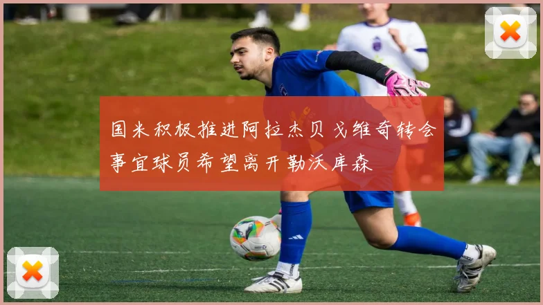 国米积极推进阿拉杰贝戈维奇转会事宜球员希望离开勒沃库森