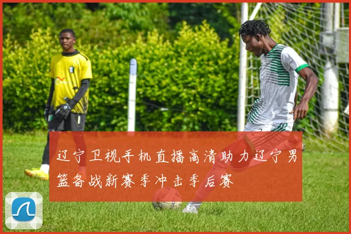 辽宁卫视手机直播高清助力辽宁男篮备战新赛季冲击季后赛